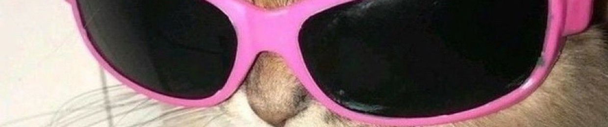 ssilvaaaasurfer