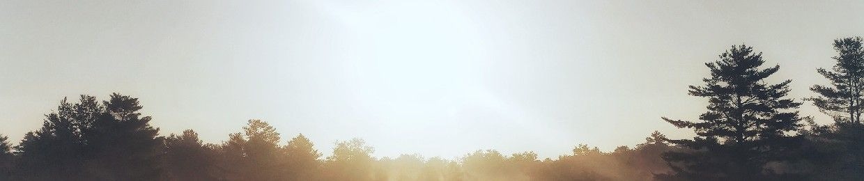 nguyendowsXP