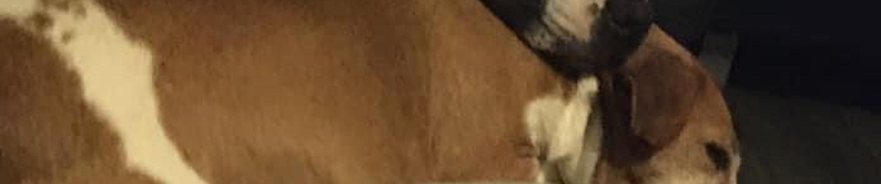 Cai