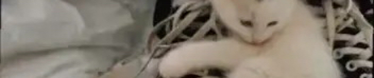 Den