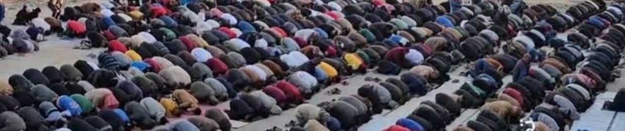 Mohammedkarrouf