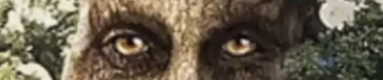 c0ck