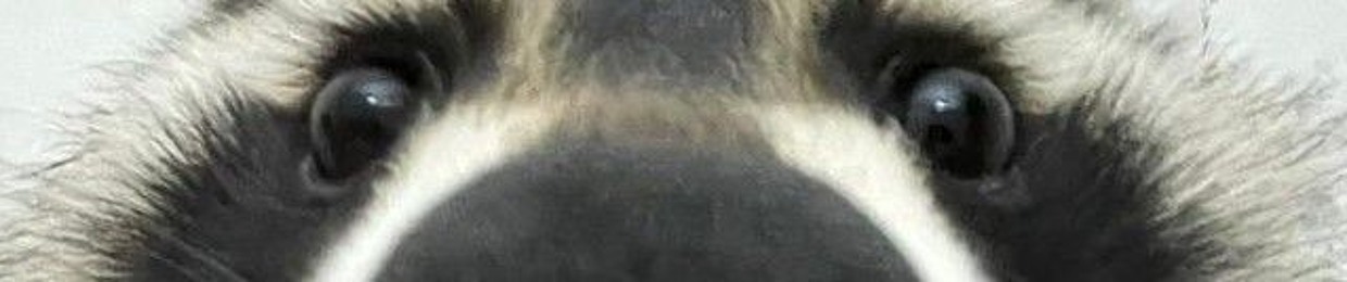 npw
