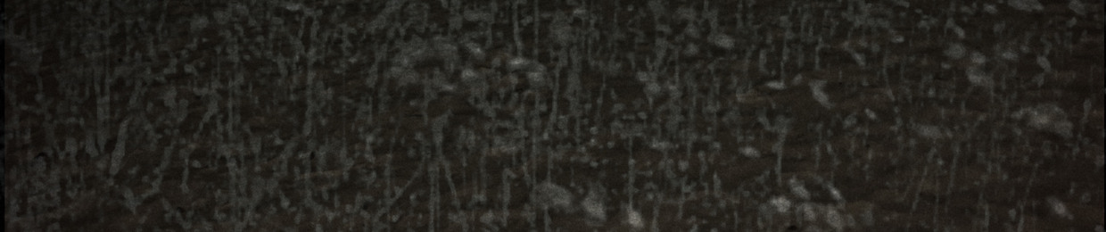 THE MOONFLOW