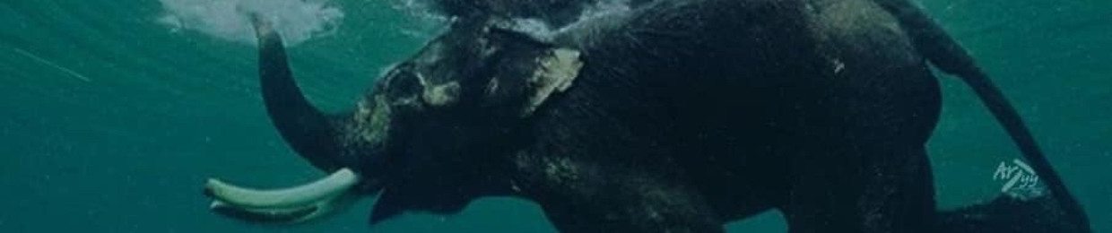 SNA