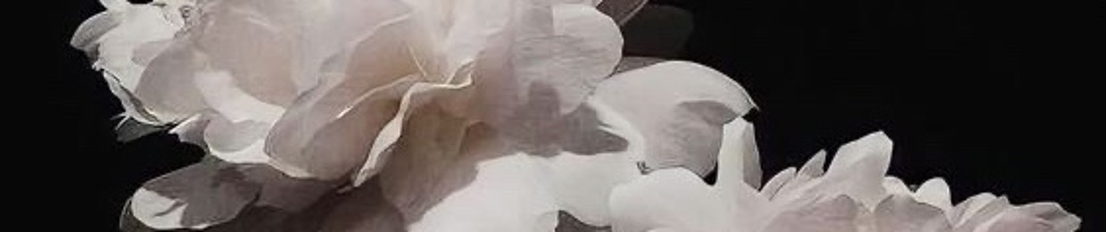 Dodi