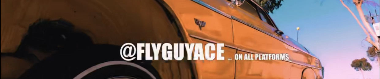 FlyGuyAce