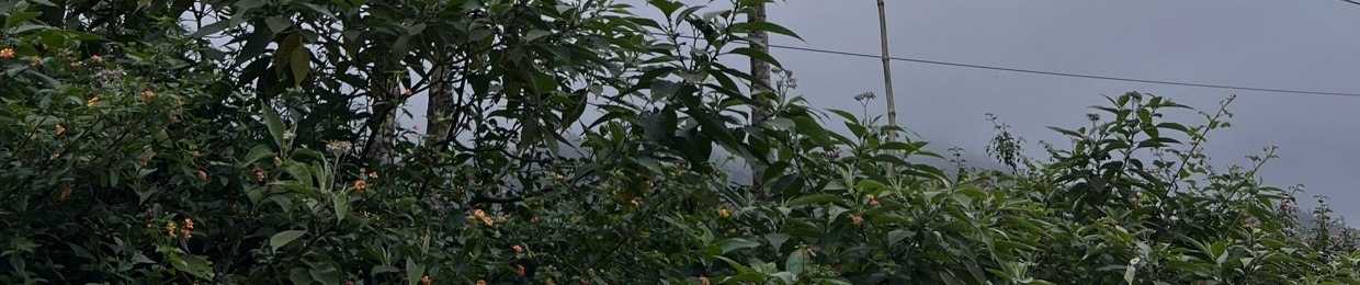 Suryavinayakm420