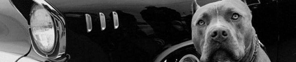 Adictos Al Crimen (AMR)