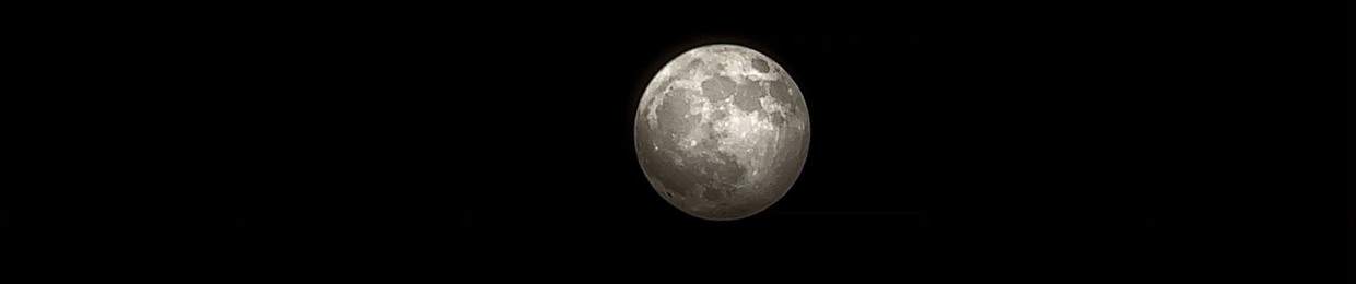 planetpanda