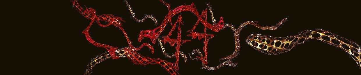 RøSch