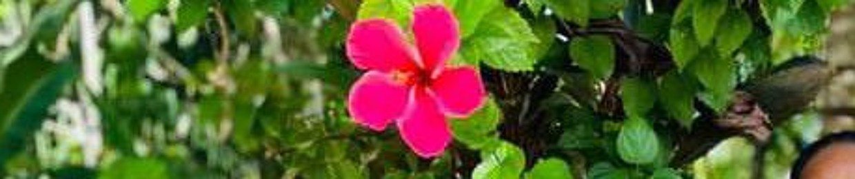 シ︎ʞǝbuopqシ︎