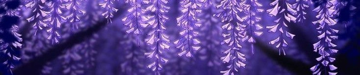 〣「 ᵗᵃⁿʲᶦʳᵒ ᴋᴀᴍᴀᴅᴏ 」╣ 🪽