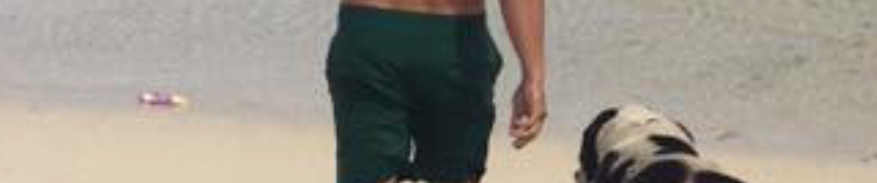 Haytham Yehia Yehia