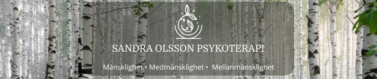 Sandra Psykoterapi