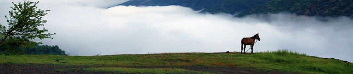 Mani Ramezani