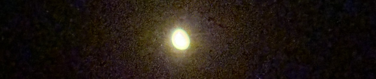 Paul Amber