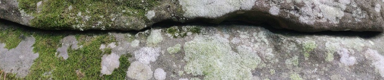 Psyaka