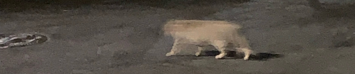 폭군