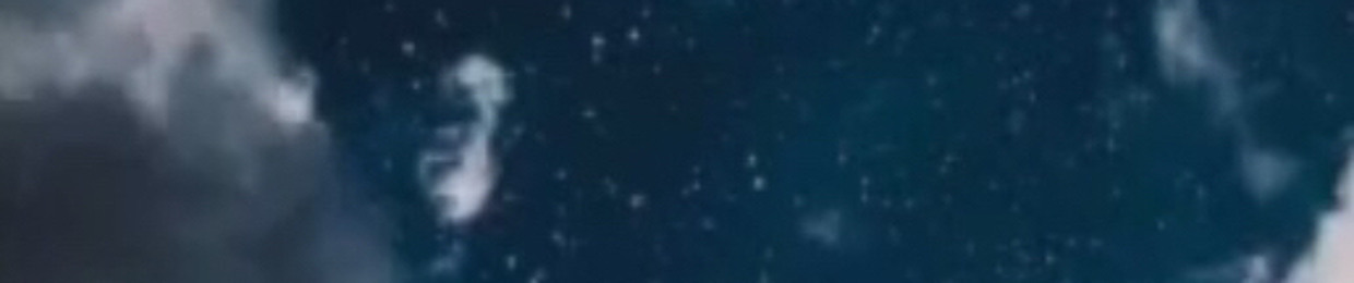 мαуαмєℓℓσω