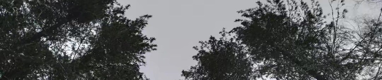 dǝɯȸиdɓ