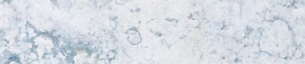 nerineri