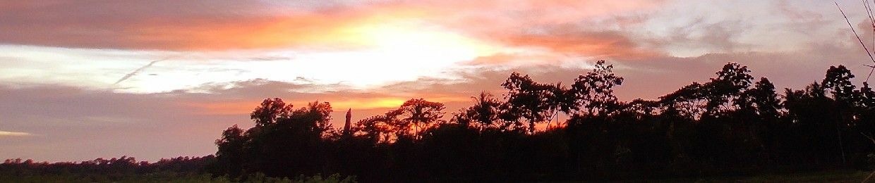 Sayak Kundu