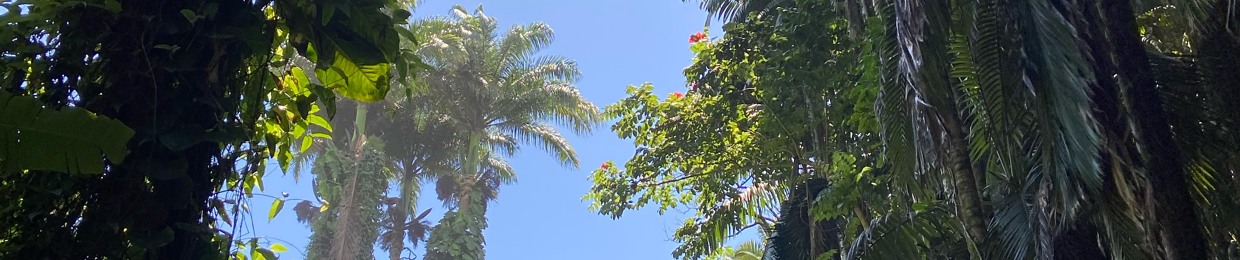 newancientparadise