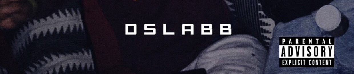 dslabb