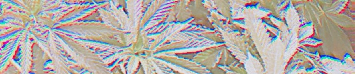 prodbymrdf