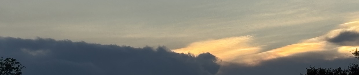 Đăng Nguyễn Ngọc