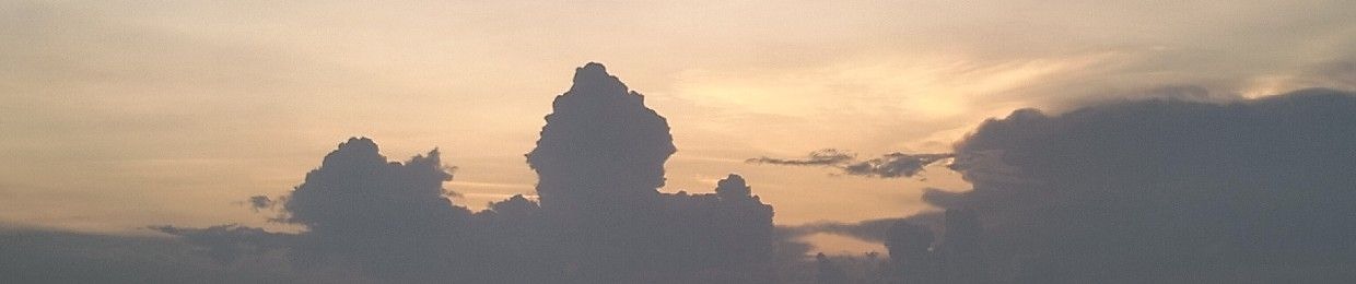 ɴԍuʏᴇɴ тᴀɴ тᴀι ⚜️