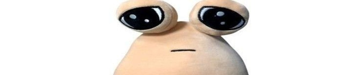 bruh?