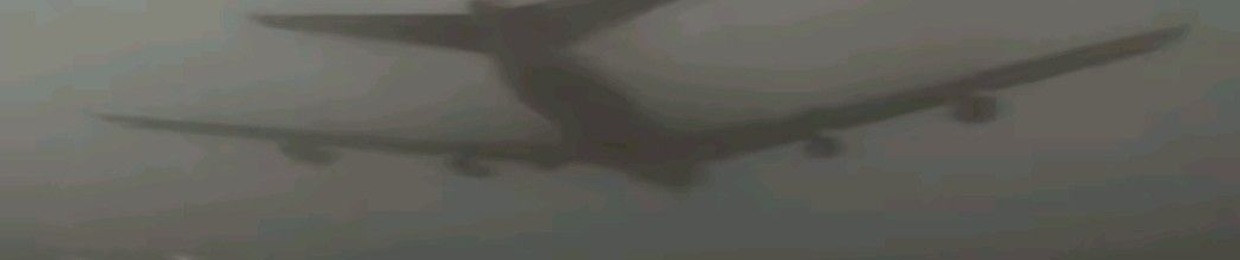 私の存在を忘れて