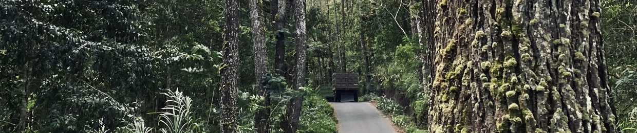 I Gede Rivha Setiawan