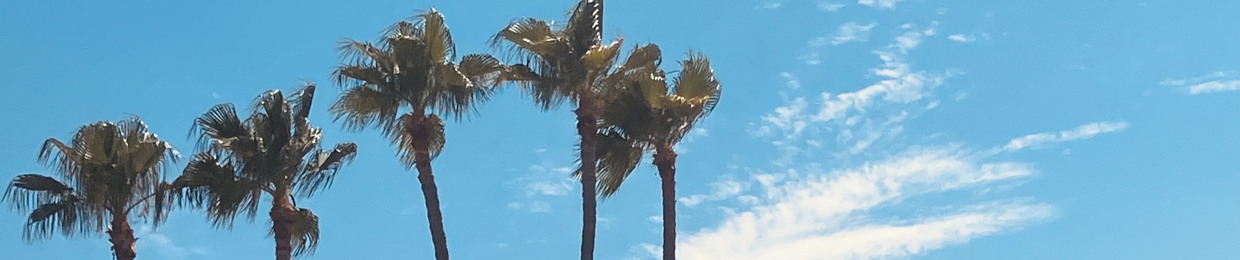 _birdywh00
