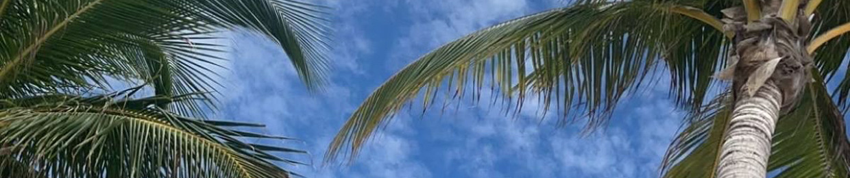 𝑳𝒚𝒏𝒏𝒏ꨄ