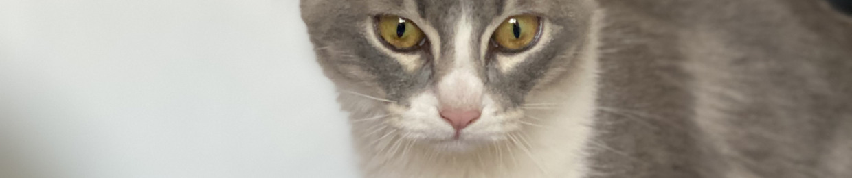 Julio César Paredes