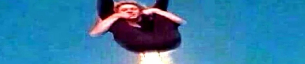 professional idiot