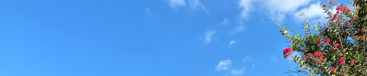 🌞🌀