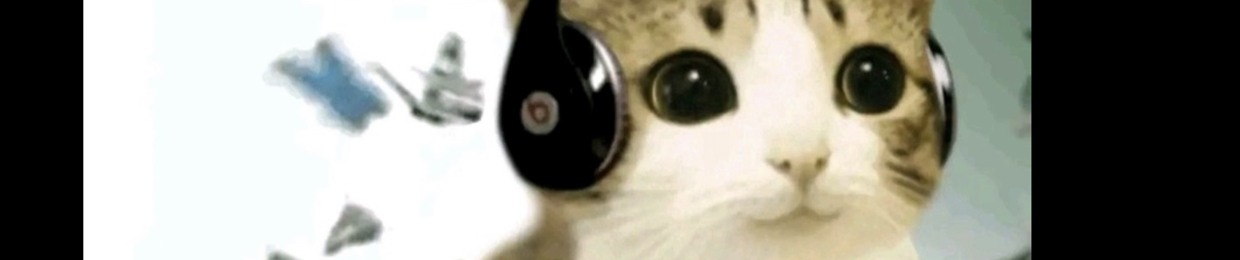 Qwompy