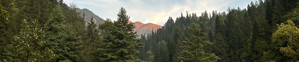 YØtam Erez