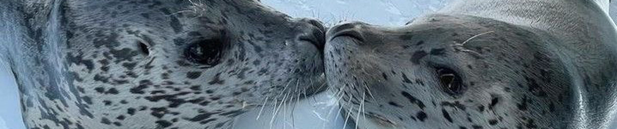 Lil homo on da meat‼️🥩 (edgyparappa)