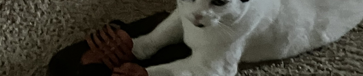 Biscut