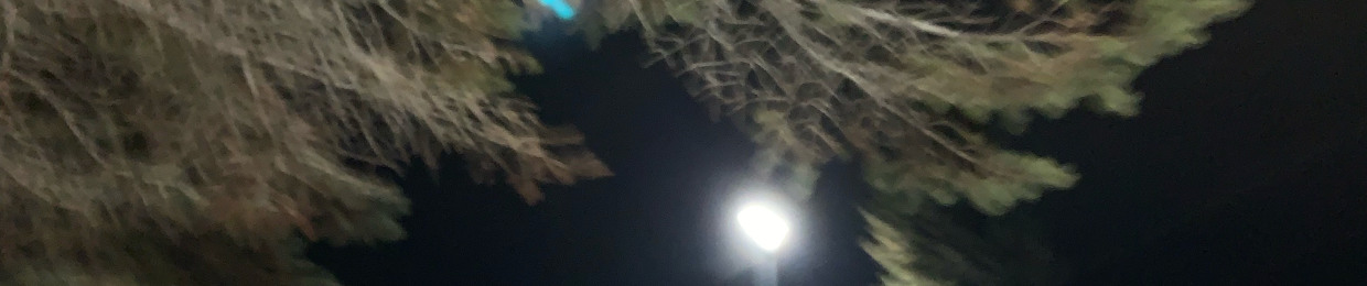 713