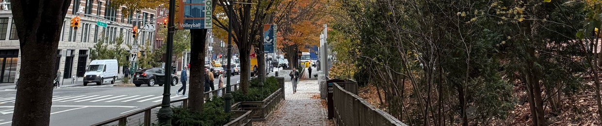 guimarãe$