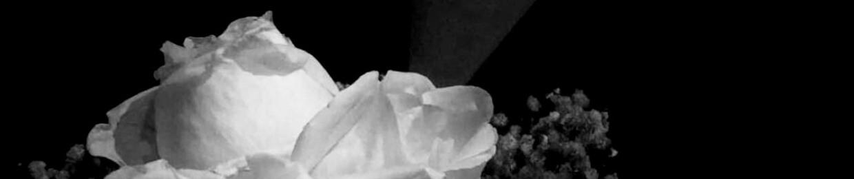 silent piece