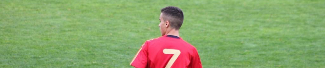 David IC