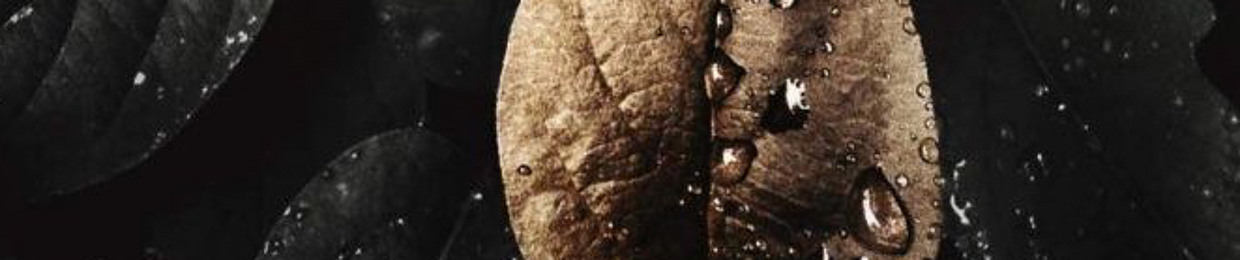 ShăĦinặz ßăsuneƴ