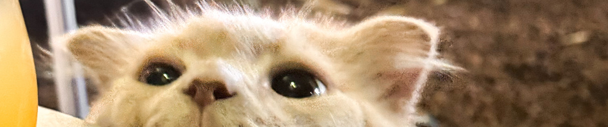 meo meo con mèo